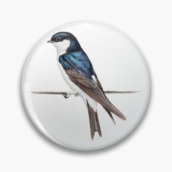 Item preview, White-bellied feather-footed swallow (scientific name: Delichon urbicum), also known as feather-footed swallow designed and sold by zenger2021.