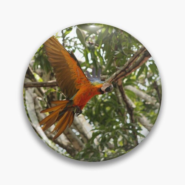 Item preview, The blue-and-yellow macaw (Ara ararauna) designed and sold by CostaRicaNature.