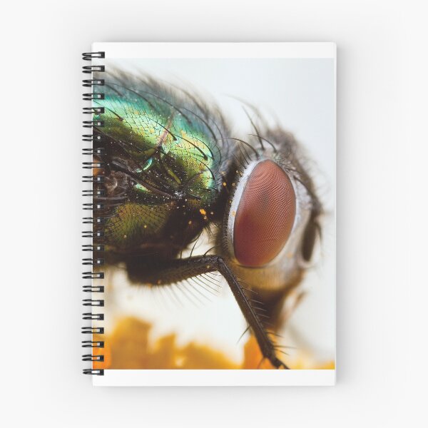 Item preview, The fly designed and sold by vivash.