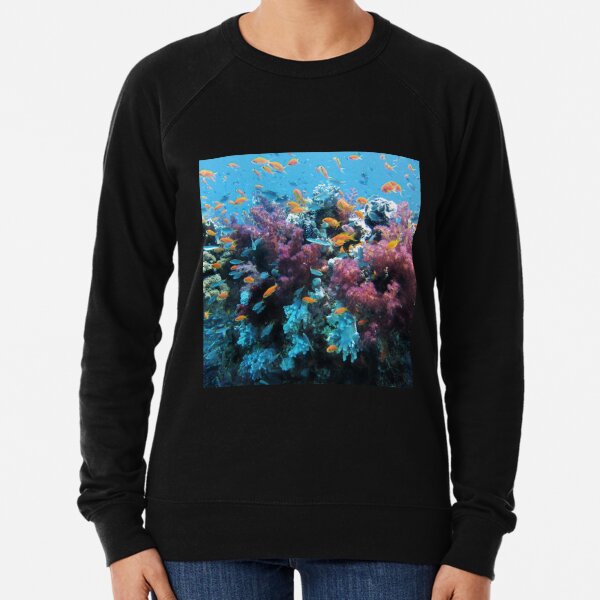 Unisex 3D Novelty Hoodies Coral,Tropical Fish and Sea Plants,Sweatshirts for Women 