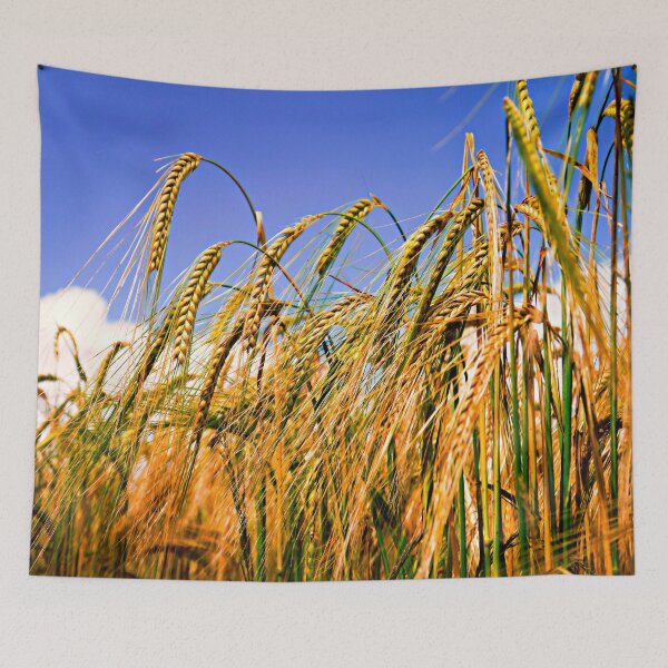 Item preview, Golden Harvest designed and sold by ScenicViewPics.