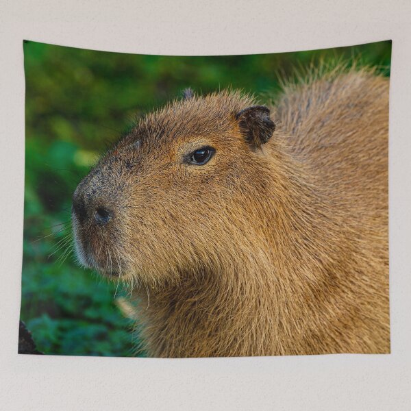 Item preview, Capybara deep in thought designed and sold by Dalyndigital Photography.