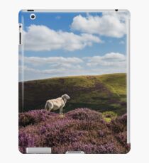 Hill Sheep iPad Case/Skin