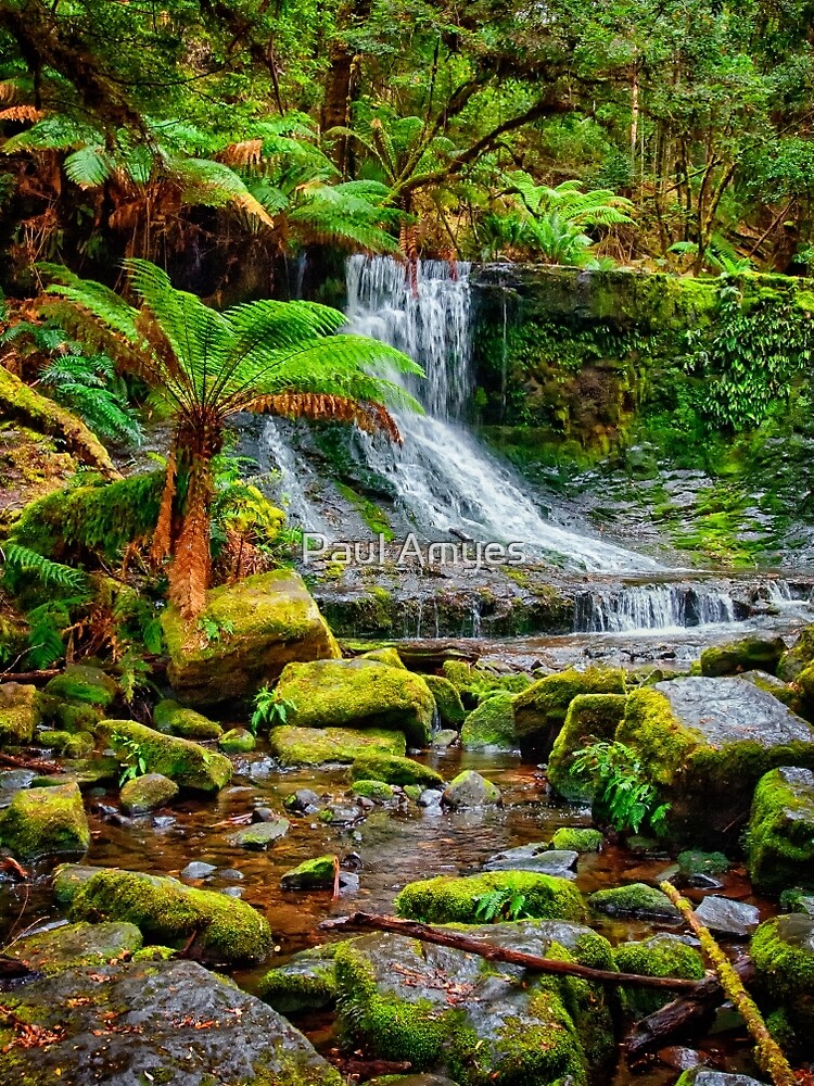 Horseshoe Falls by AmyesPhotograph