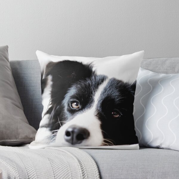 Item preview, border collie designed and sold by dedakota.