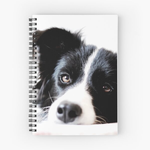 Item preview, border collie designed and sold by dedakota.
