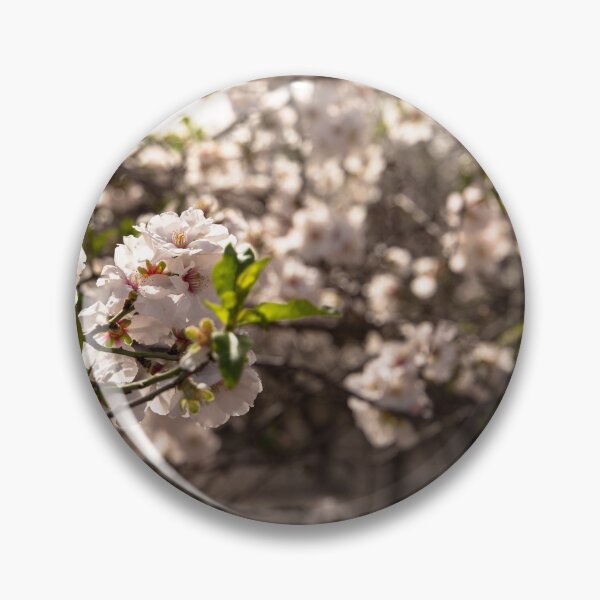 Item preview, Close-up of almond trees designed and sold by galm231.