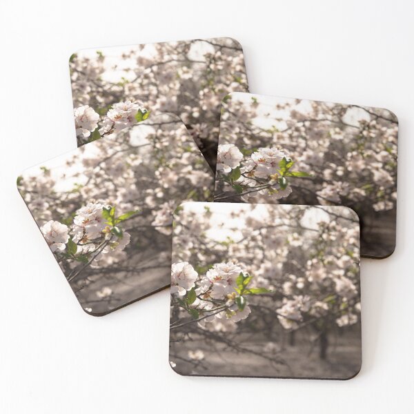 Item preview, Close-up of almond trees designed and sold by galm231.