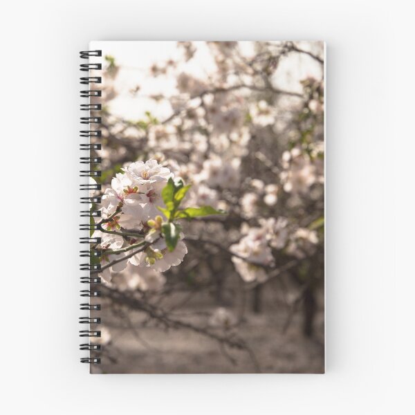 Item preview, Close-up of almond trees designed and sold by galm231.