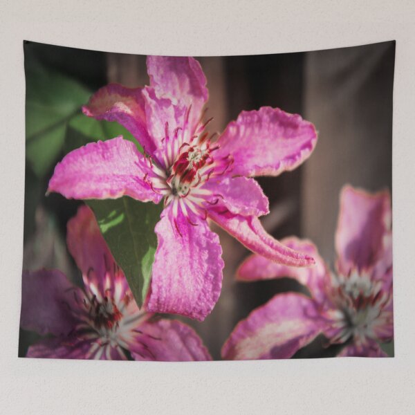 Item preview, Clematis designed and sold by JEZ22.