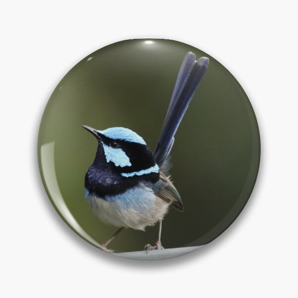 Item preview, Blue Wren designed and sold by Simon  King.