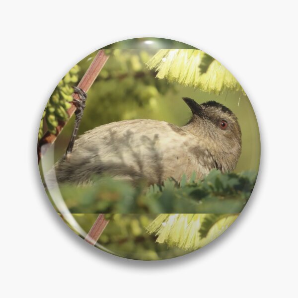 Item preview, Crescent Honeyeater designed and sold by Simon  King.