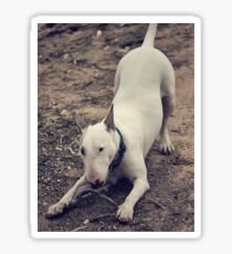Wanna Play Sticker