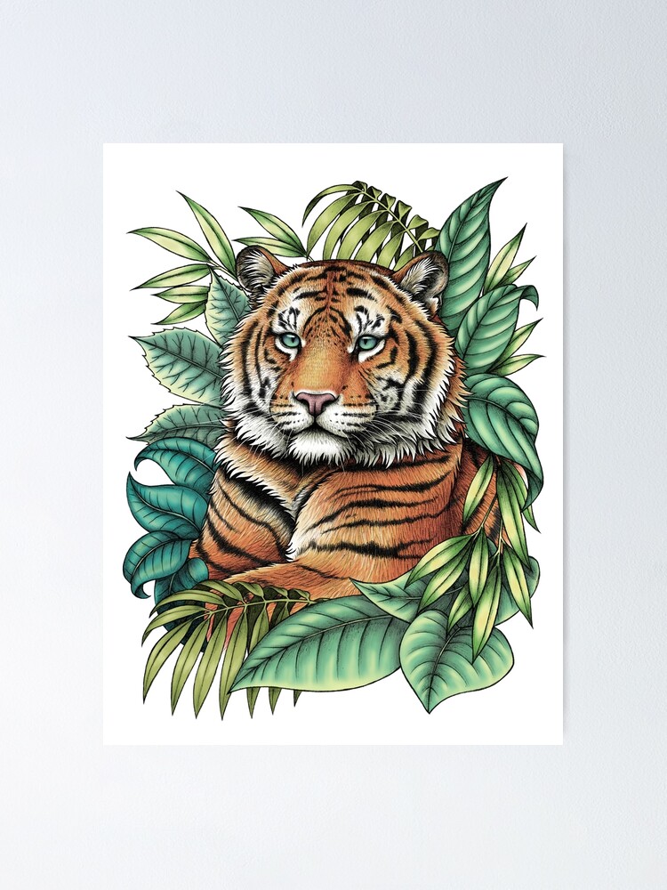 The Tiger Picture 12 Vector for Free Download | FreeImages