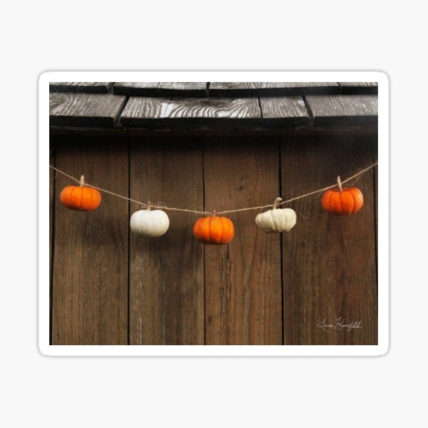 String of Pumpkins Sticker