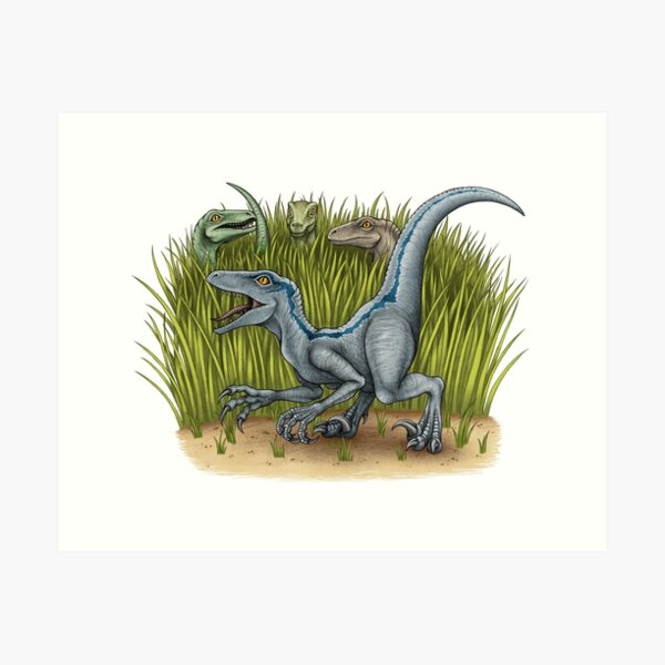 Echo ART PRINT Jurassic World Raptor Squad Chris Prat Blue Charlie Delta  Velociraptor Dinosaur Illustration Ink Dino Art -  Hong Kong