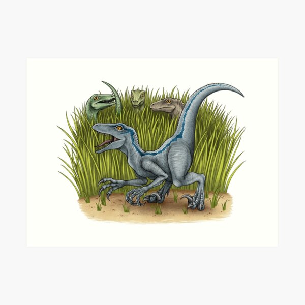 Jurassic World Velociraptors Art Print By Lyndseygreen Redbubble