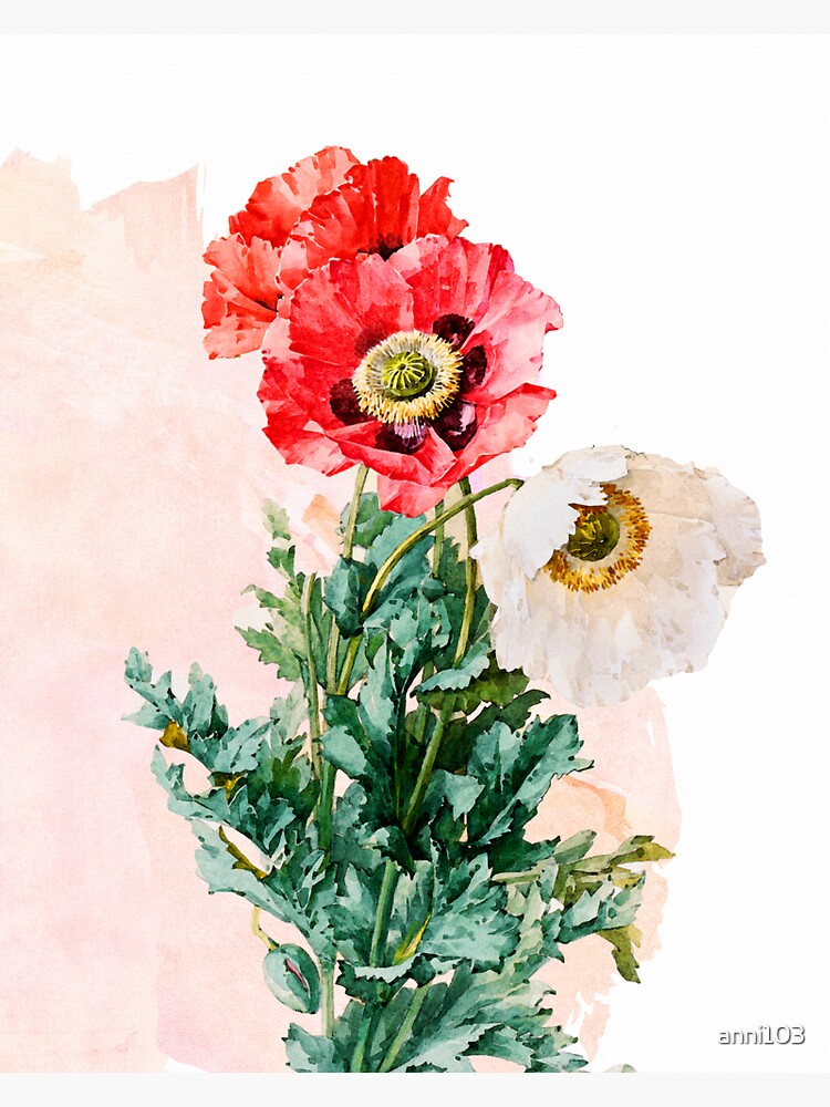 Poppy Garden by anni103