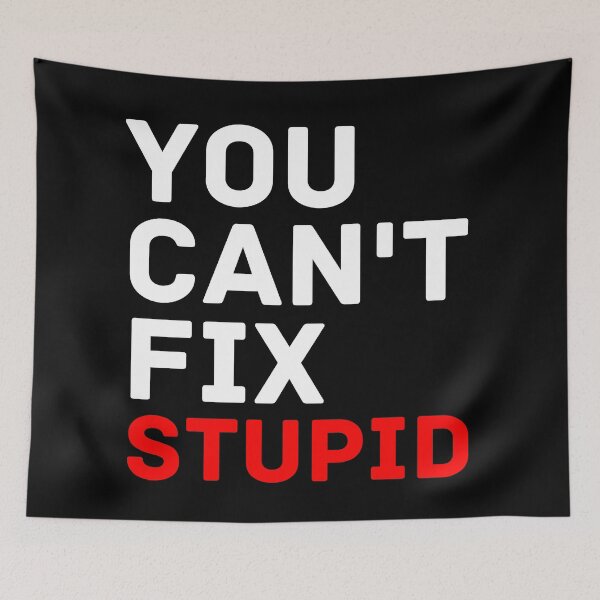 Item preview, you can't fix stupid designed and sold by InsaneCorner.