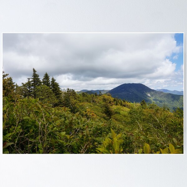 Summer forest, mountains and clouds Poster