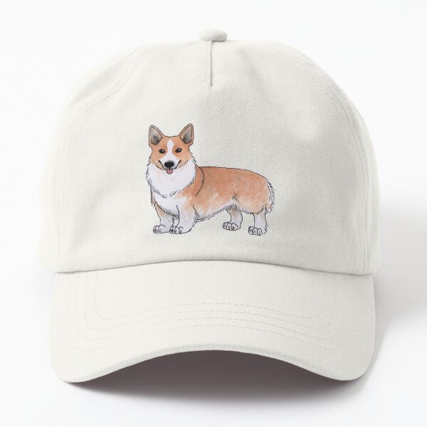 corgi in a hat