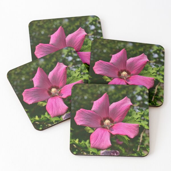 Item preview, Rose of Sharon designed and sold by Lanis Rossi.