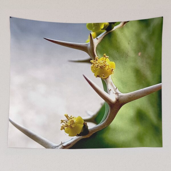Item preview, Cactus Prickles and Flowers designed and sold by Geoff Treagus.