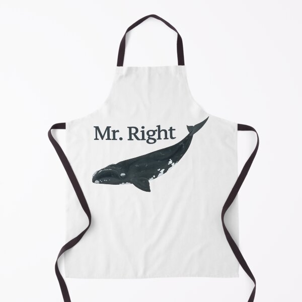 Item preview, Mr Right! The right whale designed and sold by philcolesart.