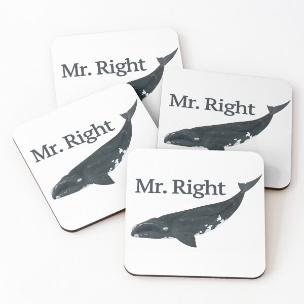 Item preview, Mr Right! The right whale designed and sold by philcolesart.