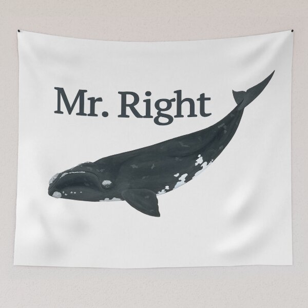 Item preview, Mr Right! The right whale designed and sold by philcolesart.