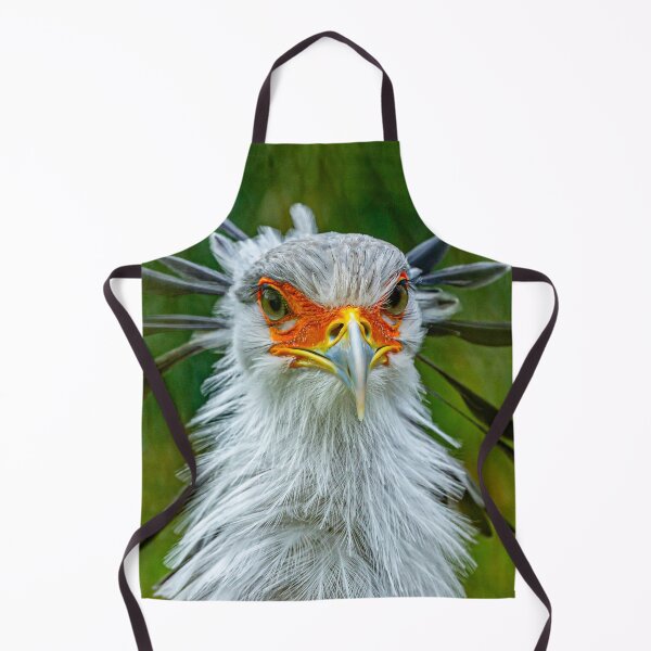 Item preview, The Look - Secretary bird designed and sold by Dalyndigital Photography.