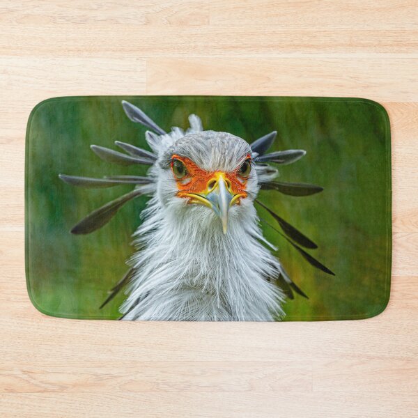 Item preview, The Look - Secretary bird designed and sold by Dalyndigital Photography.