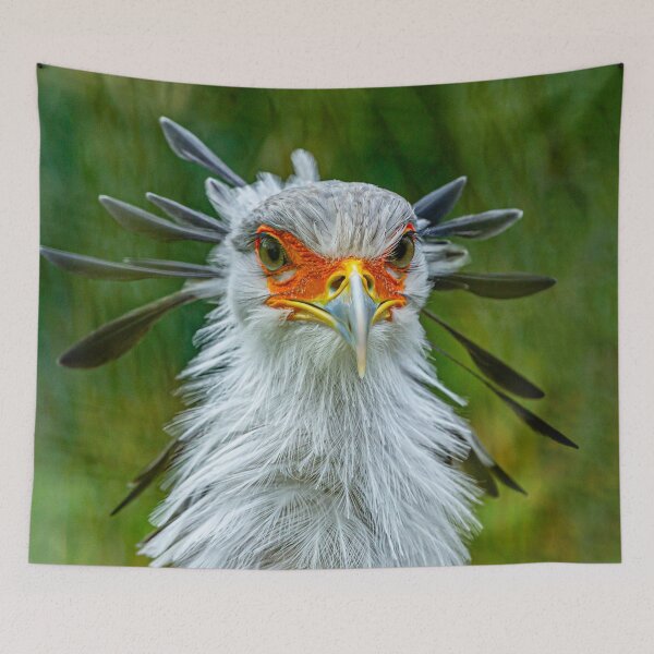 Item preview, The Look - Secretary bird designed and sold by Dalyndigital Photography.