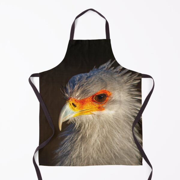 Item preview, Gorgeous light on a Secretary bird designed and sold by Dalyndigital Photography.