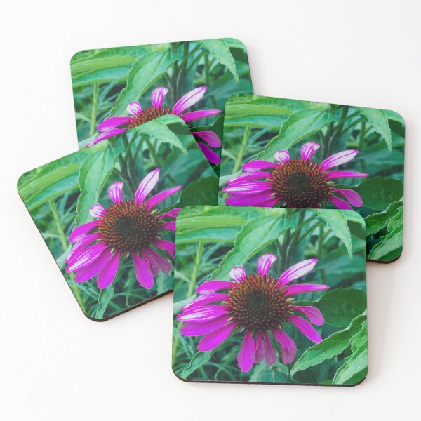 Item preview, Purple Coneflower designed and sold by BRP-SHOP.