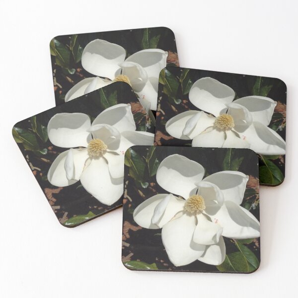 Item preview, Magnolia Bloom 2 designed and sold by GardenArtworks.