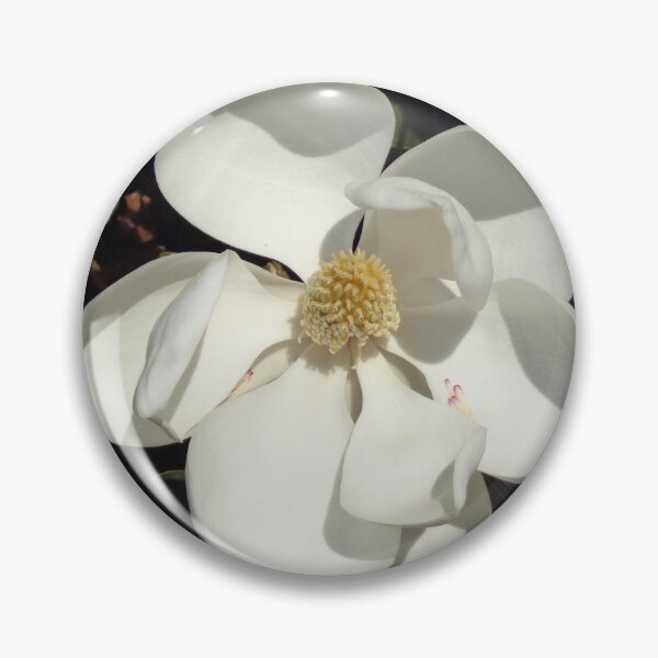 Item preview, Magnolia Bloom 2 designed and sold by GardenArtworks.