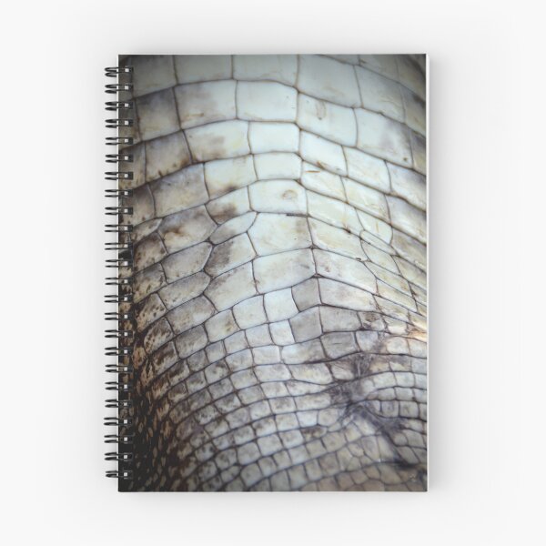 Item preview, Gator Belly designed and sold by SAJES Homestead Art.