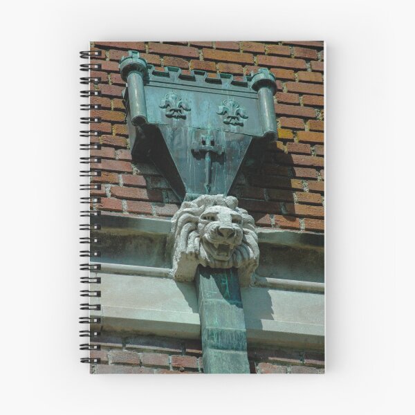 Item preview, Reed College Gargoyle & Drain designed and sold by BRP-SHOP.