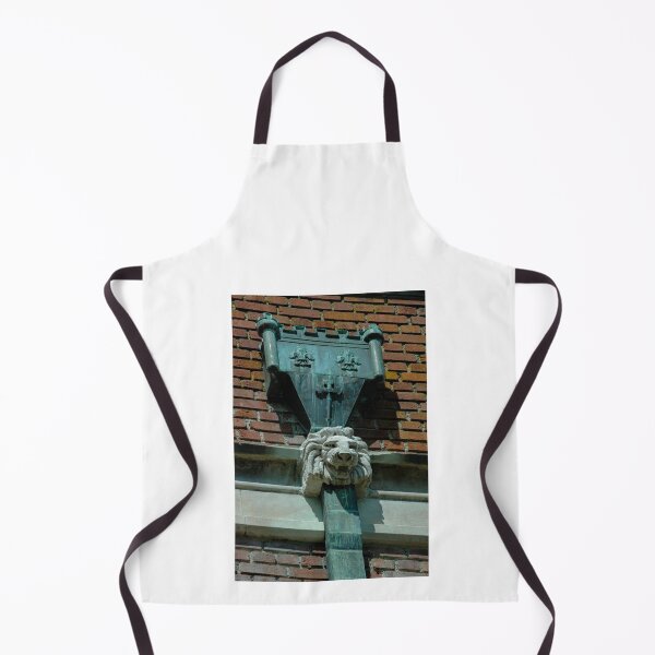 Item preview, Reed College Gargoyle & Drain designed and sold by BRP-SHOP.