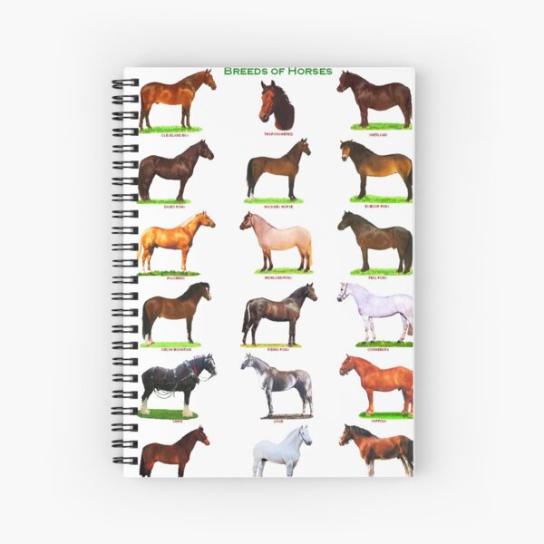 Aperçu de l'œuvre Races d'animaux Cheval créée et vendue par Evelynsouza.