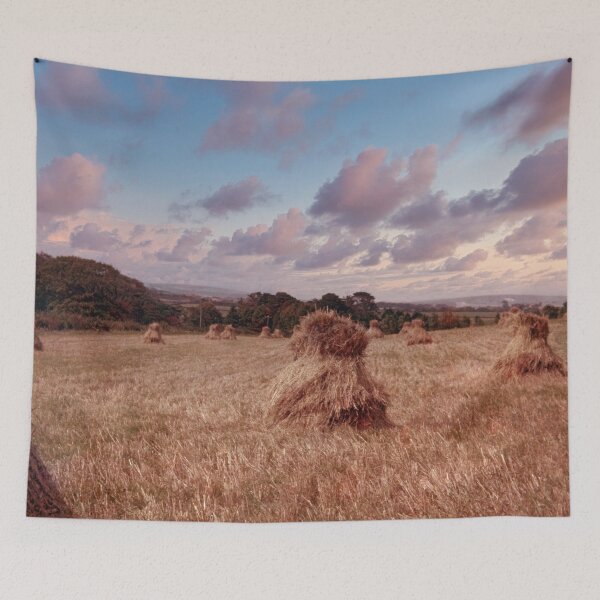 Item preview, Mini Hay Stacks or Bales Isle of White 1954 designed and sold by Bygone Images.