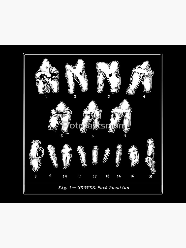The Tooth Canvas by Potroastsmom