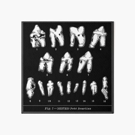 Item preview, The Tooth Canvas designed and sold by Potroastsmom.