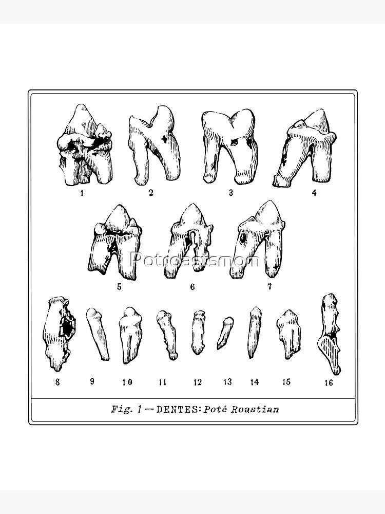 The Tooth Canvas by Potroastsmom