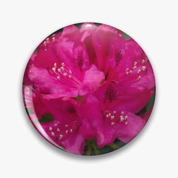 Item preview, Pink Rhododendron designed and sold by BRP-SHOP.