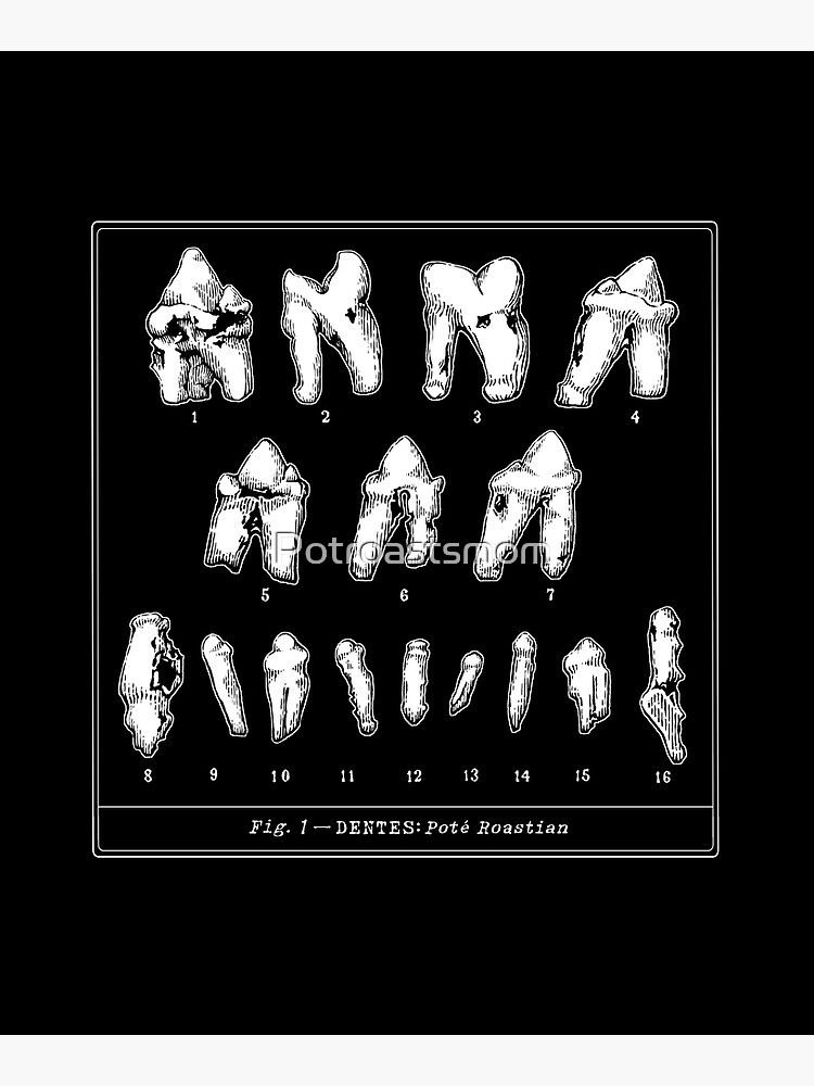 The Tooth Canvas by Potroastsmom
