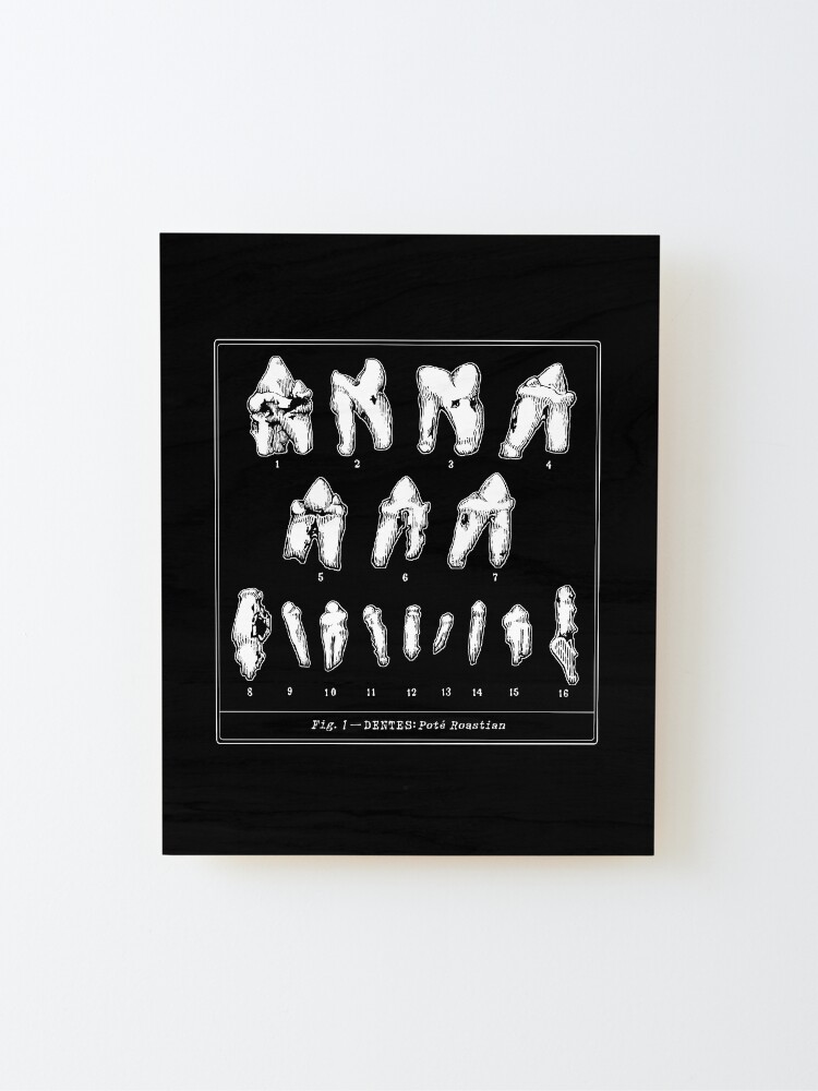 Alternate view of The Tooth Canvas Mounted Print
