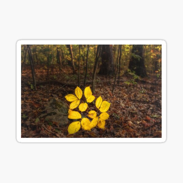 Power of Illumination Sticker