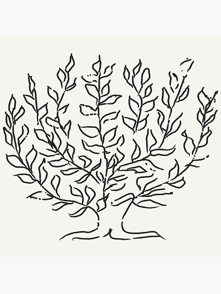 "henri matisse le buisson" Photographic Print by janadiederich99